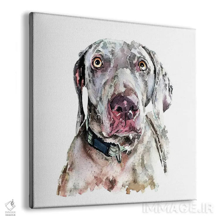تابلو وایمارانر II (نژاد سگ) اثر ادز واترکالرز (برند نقاشی آبرنگ) - نمای پرسپکتیو محصول