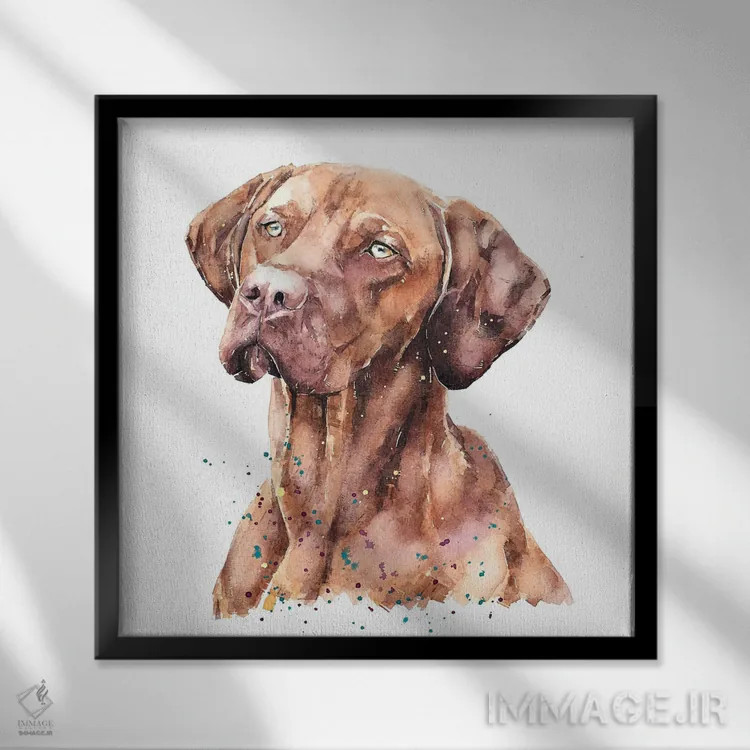تابلو ویزسلا غرق در فکر (نژاد سگ) اثر ادز واترکالرز (برند نقاشی آبرنگ) - نمای قابدار مشکی