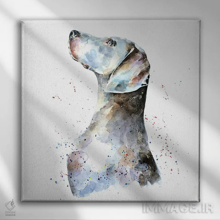 تابلو وایمارانر I (نژاد سگ) اثر ادز واترکالرز (برند نقاشی آبرنگ) - نمای روبهرو روی دیوار