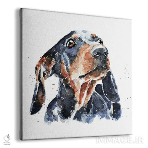 تابلو داشهوند مشکی و قهوهای (نژاد سگ) اثر ادز واترکالرز (برند نقاشی آبرنگ) - نمای پرسپکتیو محصول