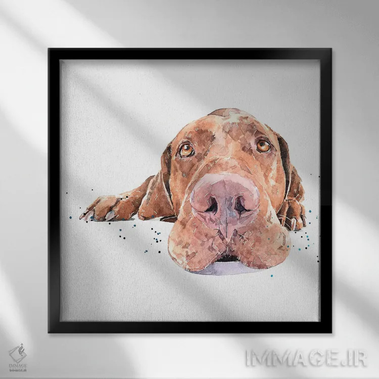 تابلو ویزسلا بیهوش شده (نژاد سگ) اثر ادز واترکالرز (برند نقاشی آبرنگ) - نمای قابدار مشکی