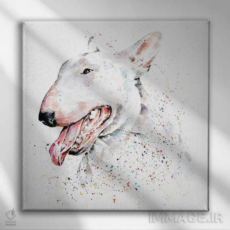تابلو بول تریر انگلیسی سفید (نژاد سگ) اثر ادز واترکالرز (برند نقاشی آبرنگ) - نمای روبهرو روی دیوار