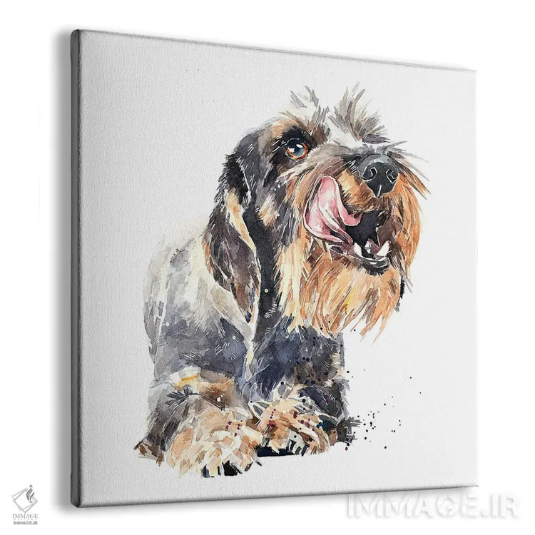 تابلو داشهوند مو سیمی I (نژاد سگ) اثر ادز واترکالرز (برند نقاشی آبرنگ) - نمای پرسپکتیو محصول