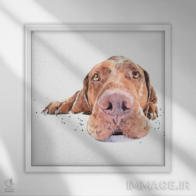 تابلو ویزسلا بیهوش شده (نژاد سگ) اثر ادز واترکالرز (برند نقاشی آبرنگ) - نمای قابدار سفید