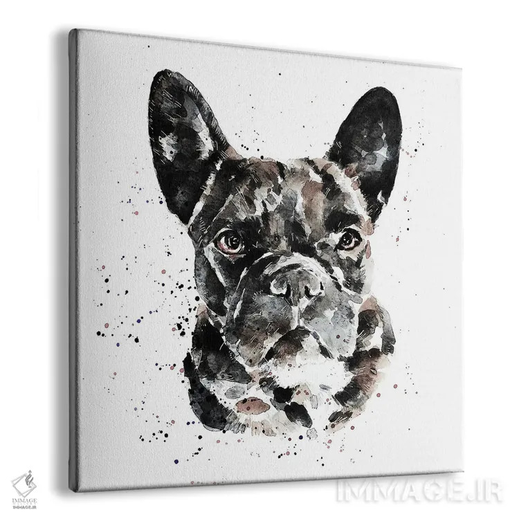 تابلو فرنچ بولداگ سیاه (نژاد سگ) اثر ادز واترکالرز (برند نقاشی آبرنگ) - نمای پرسپکتیو محصول