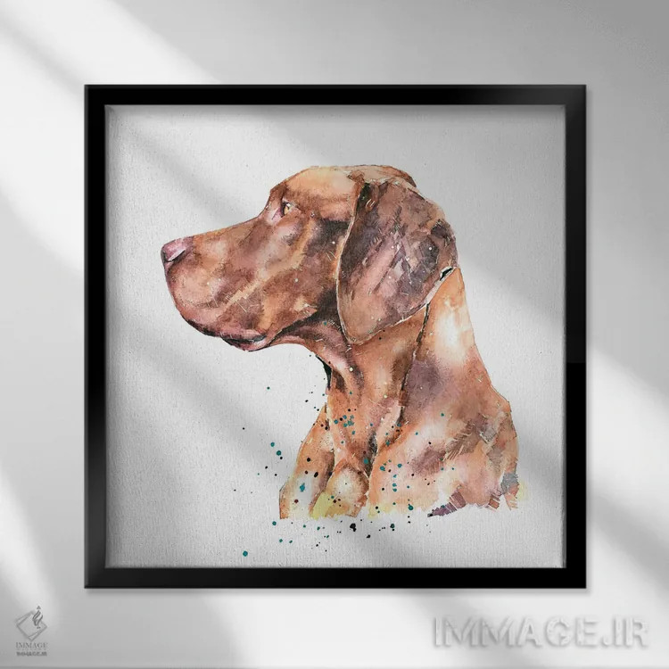 تابلو ویزسلا متفکر (نژاد سگ) اثر ادز واترکالرز (برند نقاشی آبرنگ) - نمای قابدار مشکی