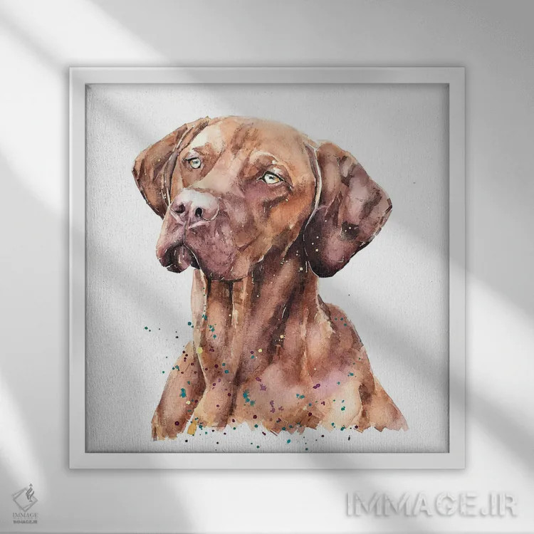 تابلو ویزسلا غرق در فکر (نژاد سگ) اثر ادز واترکالرز (برند نقاشی آبرنگ) - نمای قابدار سفید