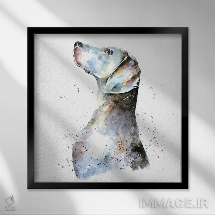 تابلو وایمارانر I (نژاد سگ) اثر ادز واترکالرز (برند نقاشی آبرنگ) - نمای قابدار مشکی