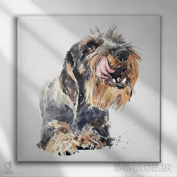 تابلو داشهوند مو سیمی I (نژاد سگ) اثر ادز واترکالرز (برند نقاشی آبرنگ) - نمای روبهرو روی دیوار