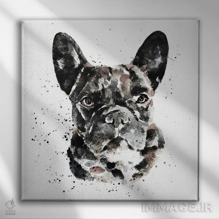 تابلو فرنچ بولداگ سیاه (نژاد سگ) اثر ادز واترکالرز (برند نقاشی آبرنگ) - نمای روبهرو روی دیوار