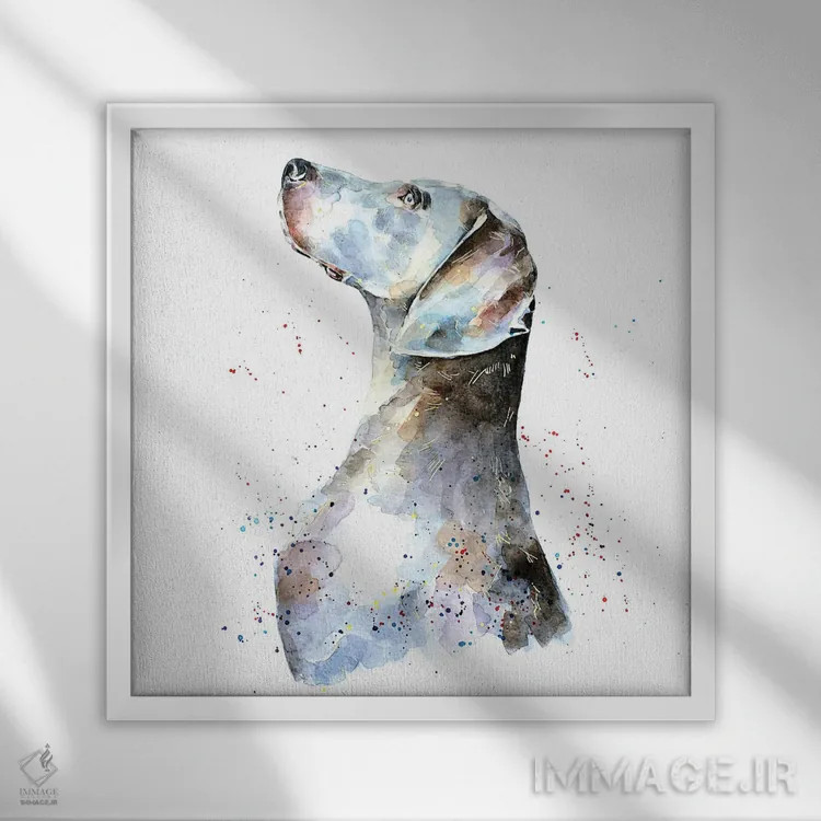 تابلو وایمارانر I (نژاد سگ) اثر ادز واترکالرز (برند نقاشی آبرنگ) - نمای قابدار سفید