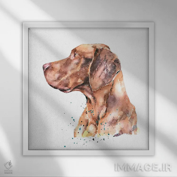 تابلو ویزسلا متفکر (نژاد سگ) اثر ادز واترکالرز (برند نقاشی آبرنگ) - نمای قابدار سفید