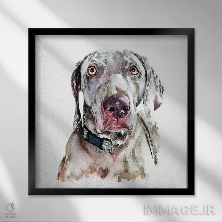 تابلو وایمارانر II (نژاد سگ) اثر ادز واترکالرز (برند نقاشی آبرنگ) - نمای قابدار مشکی