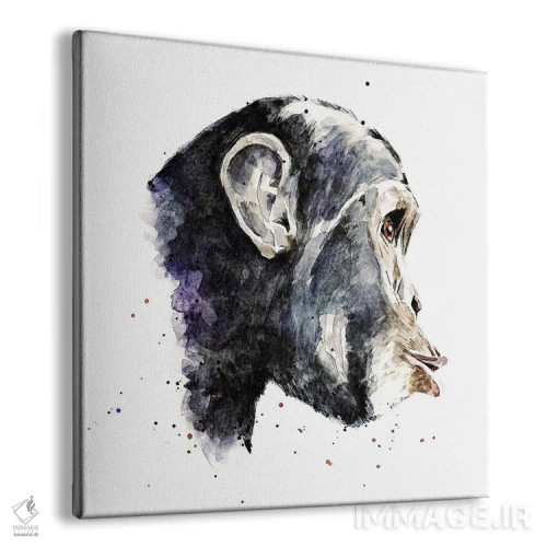 تابلو شامپانزه اثر ادز واترکالرز (برند نقاشی آبرنگ) - نمای پرسپکتیو محصول