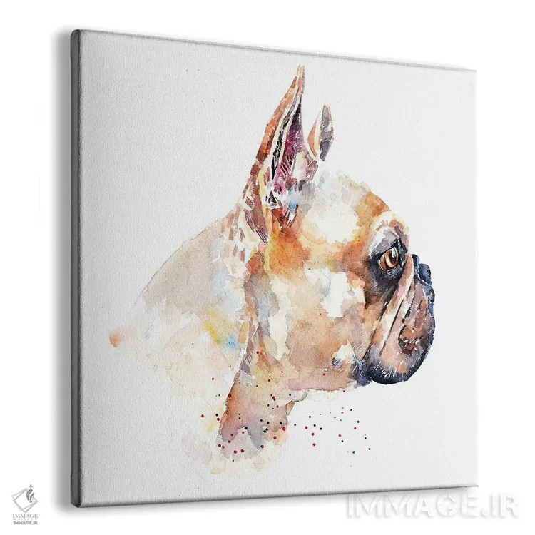 تابلو فرنچ بولداگ (نژاد سگ) اثر ادز واترکالرز (برند نقاشی آبرنگ) - نمای پرسپکتیو محصول