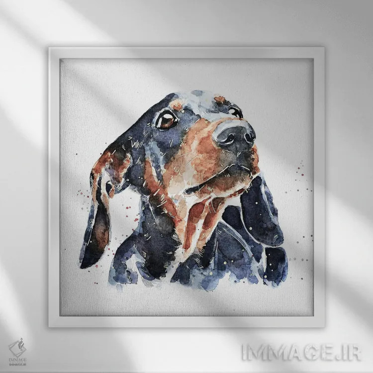 تابلو داشهوند مشکی و قهوهای (نژاد سگ) اثر ادز واترکالرز (برند نقاشی آبرنگ) - نمای قابدار سفید