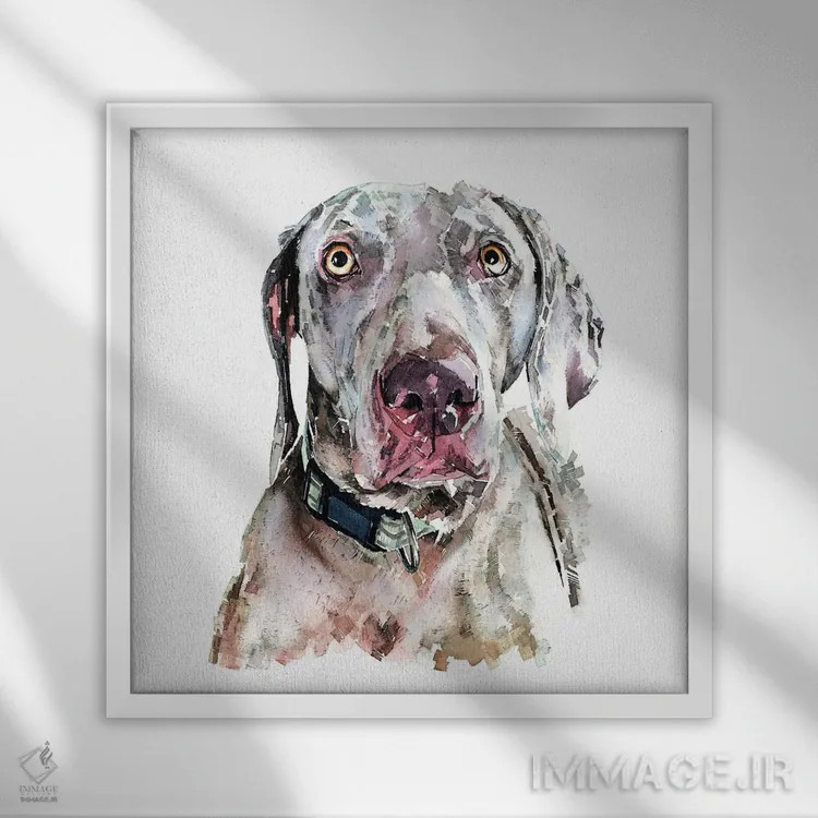 تابلو وایمارانر II (نژاد سگ) اثر ادز واترکالرز (برند نقاشی آبرنگ) - نمای قابدار سفید