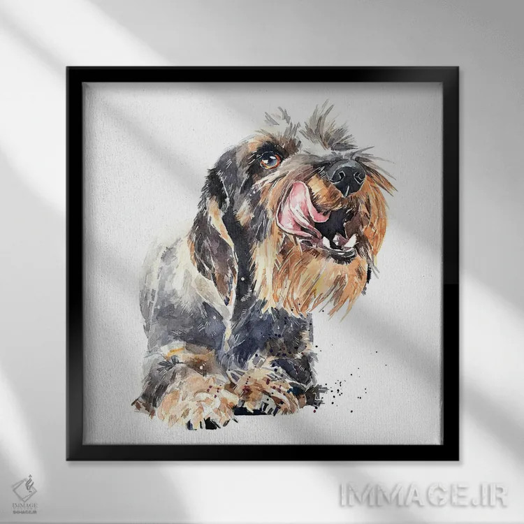 تابلو داشهوند مو سیمی I (نژاد سگ) اثر ادز واترکالرز (برند نقاشی آبرنگ) - نمای قابدار مشکی