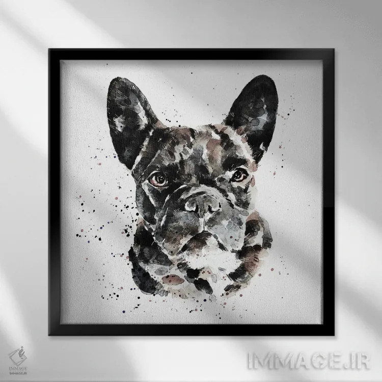تابلو فرنچ بولداگ سیاه (نژاد سگ) اثر ادز واترکالرز (برند نقاشی آبرنگ) - نمای قابدار مشکی