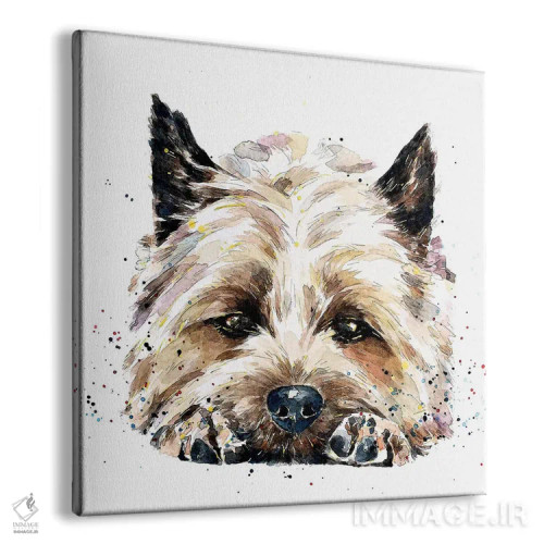تابلو کرن تریر نزدیک صورتت (نژاد سگ) اثر ادز واترکالرز (برند نقاشی آبرنگ) - نمای پرسپکتیو محصول