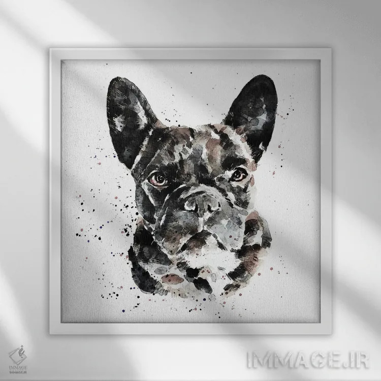 تابلو فرنچ بولداگ سیاه (نژاد سگ) اثر ادز واترکالرز (برند نقاشی آبرنگ) - نمای قابدار سفید