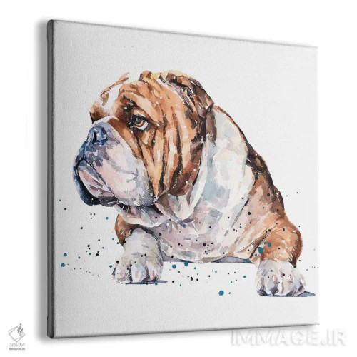 تابلو بولداگ انگلیسی I (نژاد سگ) اثر ادز واترکالرز (برند نقاشی آبرنگ) - نمای پرسپکتیو محصول