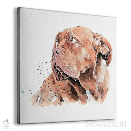 تابلو داگ دو بردو I (نژاد سگ) اثر ادز واترکالرز (برند نقاشی آبرنگ) - نمای پرسپکتیو محصول