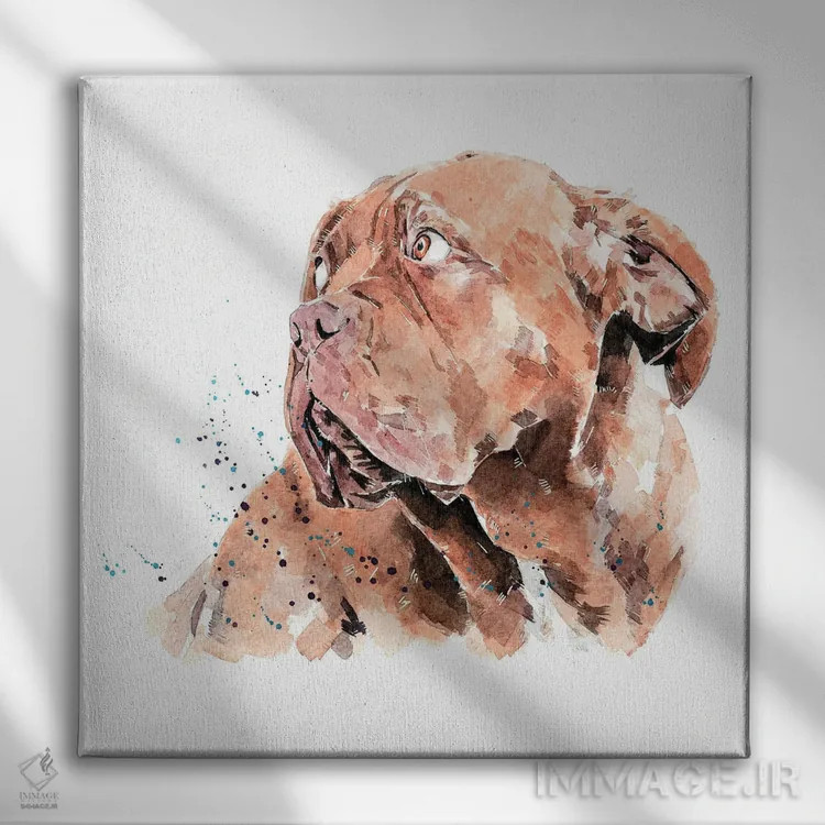 تابلو داگ دو بردو I (نژاد سگ) اثر ادز واترکالرز (برند نقاشی آبرنگ) - نمای روبهرو روی دیوار