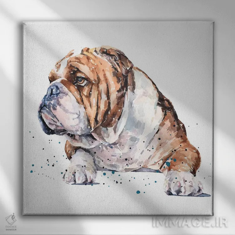 تابلو بولداگ انگلیسی I (نژاد سگ) اثر ادز واترکالرز (برند نقاشی آبرنگ) - نمای روبهرو روی دیوار