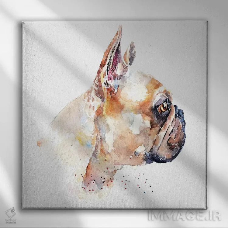 تابلو فرنچ بولداگ (نژاد سگ) اثر ادز واترکالرز (برند نقاشی آبرنگ) - نمای روبهرو روی دیوار