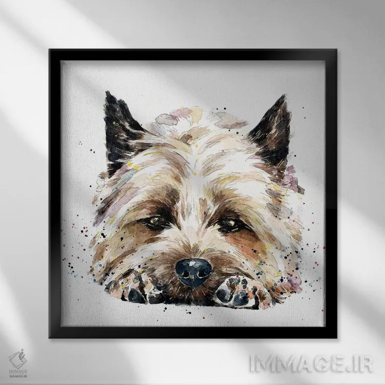 تابلو کرن تریر نزدیک صورتت (نژاد سگ) اثر ادز واترکالرز (برند نقاشی آبرنگ) - نمای قابدار مشکی