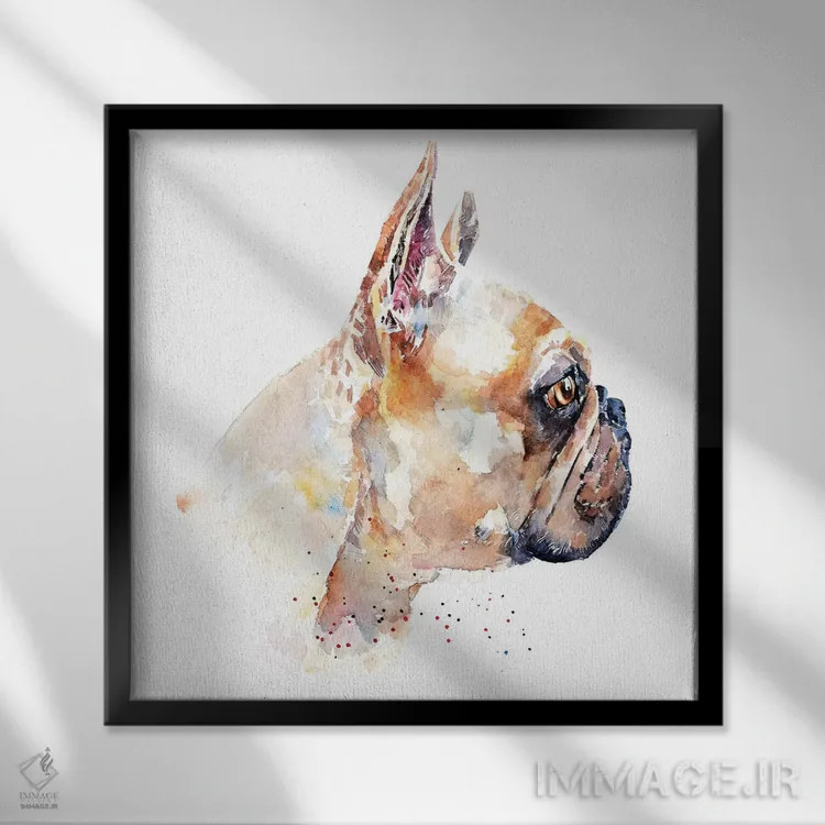 تابلو فرنچ بولداگ (نژاد سگ) اثر ادز واترکالرز (برند نقاشی آبرنگ) - نمای قابدار مشکی