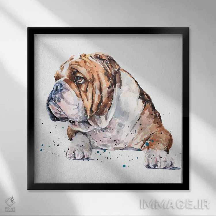 تابلو بولداگ انگلیسی I (نژاد سگ) اثر ادز واترکالرز (برند نقاشی آبرنگ) - نمای قابدار مشکی