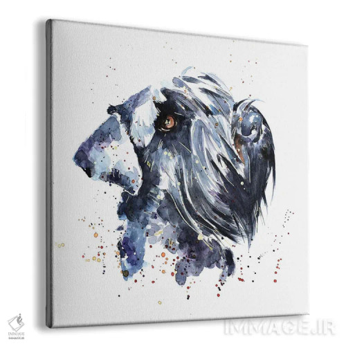 تابلو شنوزر غولپیکر (نژاد سگ) اثر ادز واترکالرز (برند نقاشی آبرنگ) - نمای پرسپکتیو محصول