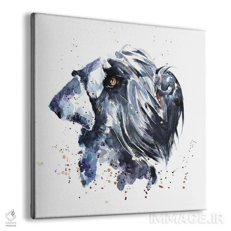تابلو شنوزر غولپیکر (نژاد سگ) اثر ادز واترکالرز (برند نقاشی آبرنگ) - نمای پرسپکتیو محصول