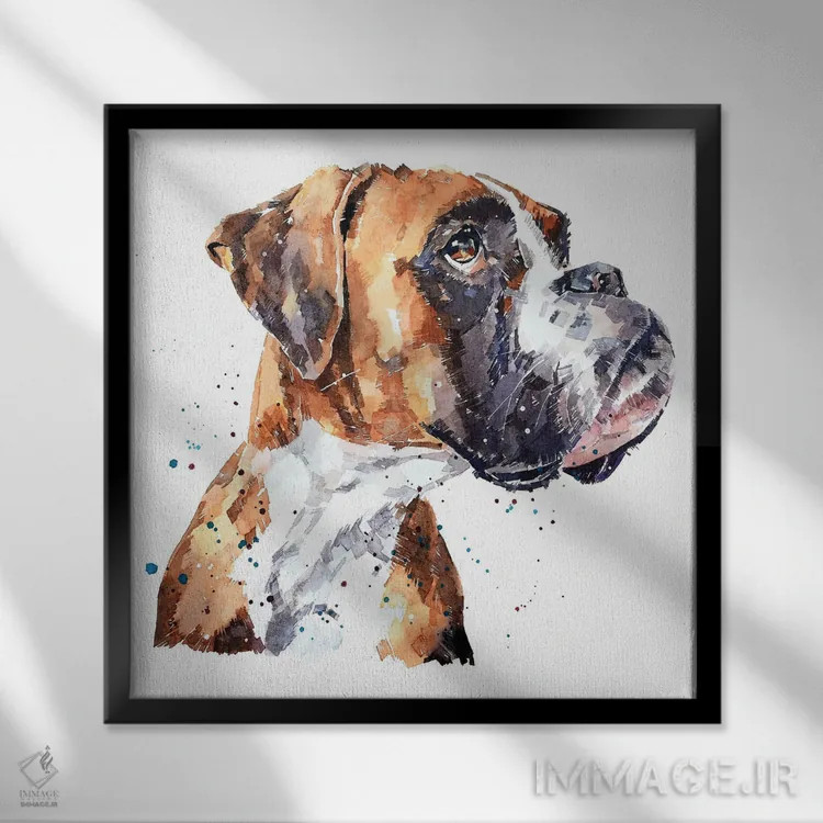 تابلو باکسر آلمانی (نژاد سگ) اثر ادز واترکالرز (برند نقاشی آبرنگ) - نمای قابدار مشکی