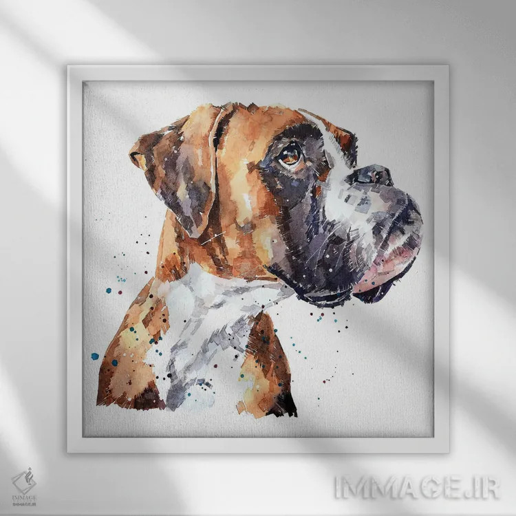 تابلو باکسر آلمانی (نژاد سگ) اثر ادز واترکالرز (برند نقاشی آبرنگ) - نمای قابدار سفید