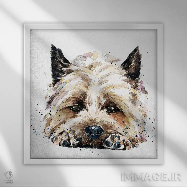 تابلو کرن تریر نزدیک صورتت (نژاد سگ) اثر ادز واترکالرز (برند نقاشی آبرنگ) - نمای قابدار سفید