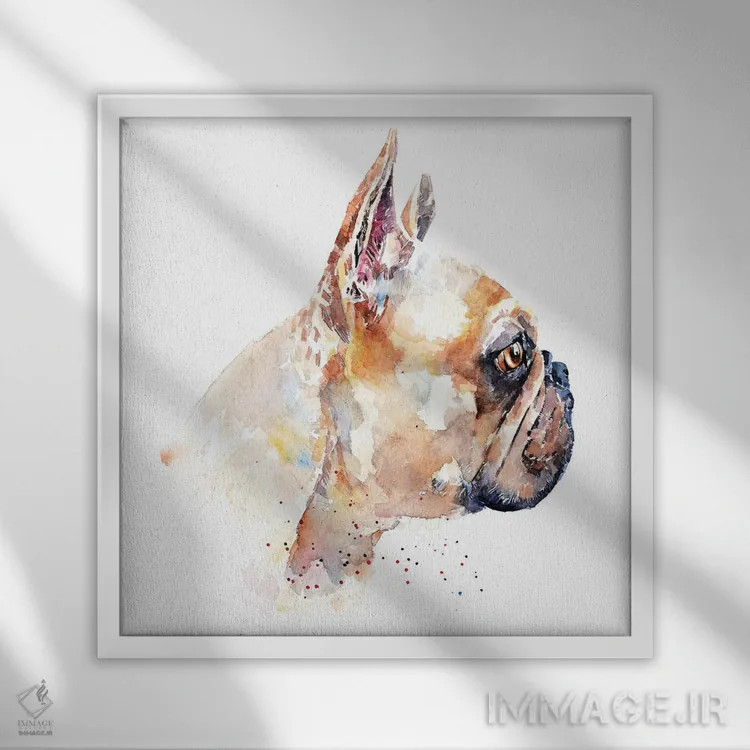 تابلو فرنچ بولداگ (نژاد سگ) اثر ادز واترکالرز (برند نقاشی آبرنگ) - نمای قابدار سفید