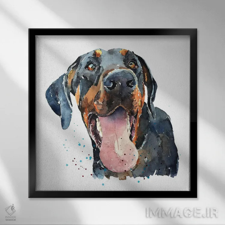 تابلو لبخند دوبرمن (نژاد سگ) اثر ادز واترکالرز (برند نقاشی آبرنگ) - نمای قابدار مشکی