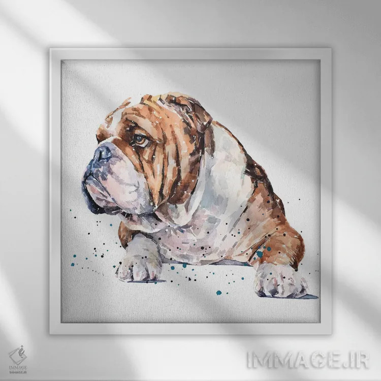 تابلو بولداگ انگلیسی I (نژاد سگ) اثر ادز واترکالرز (برند نقاشی آبرنگ) - نمای قابدار سفید