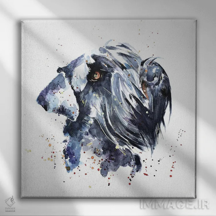 تابلو شنوزر غولپیکر (نژاد سگ) اثر ادز واترکالرز (برند نقاشی آبرنگ) - نمای روبهرو روی دیوار
