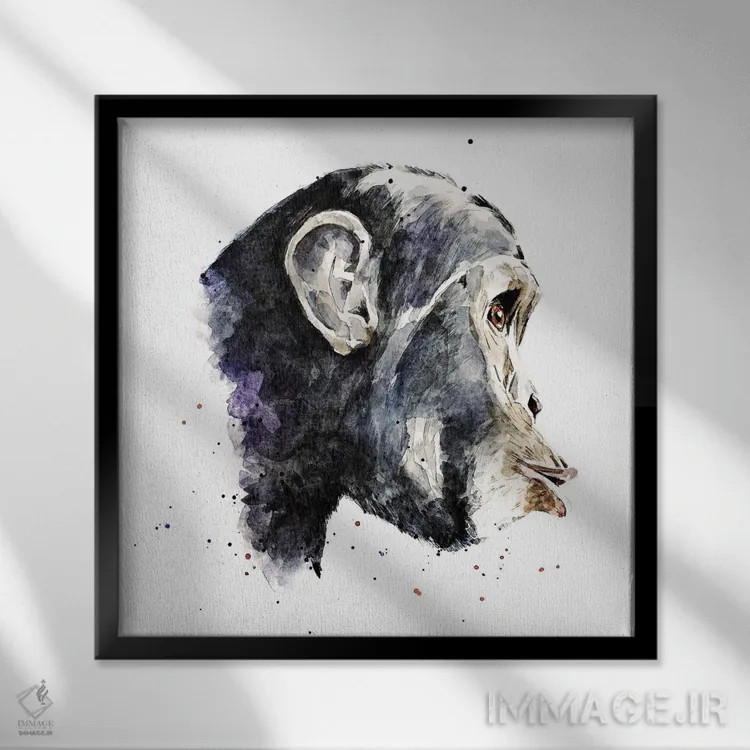 تابلو شامپانزه اثر ادز واترکالرز (برند نقاشی آبرنگ) - نمای قابدار مشکی