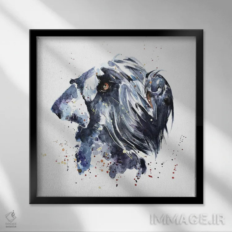 تابلو شنوزر غولپیکر (نژاد سگ) اثر ادز واترکالرز (برند نقاشی آبرنگ) - نمای قابدار مشکی