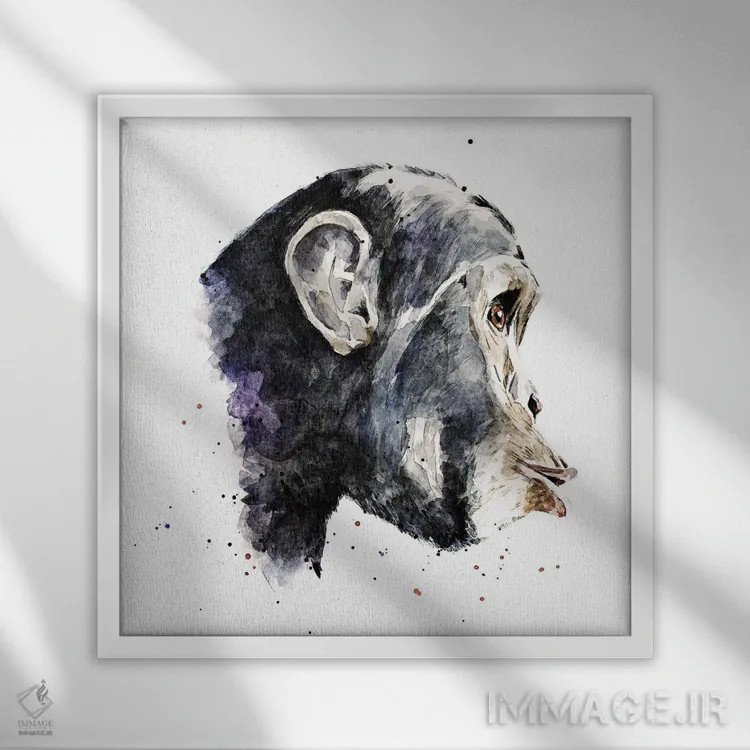 تابلو شامپانزه اثر ادز واترکالرز (برند نقاشی آبرنگ) - نمای قابدار سفید