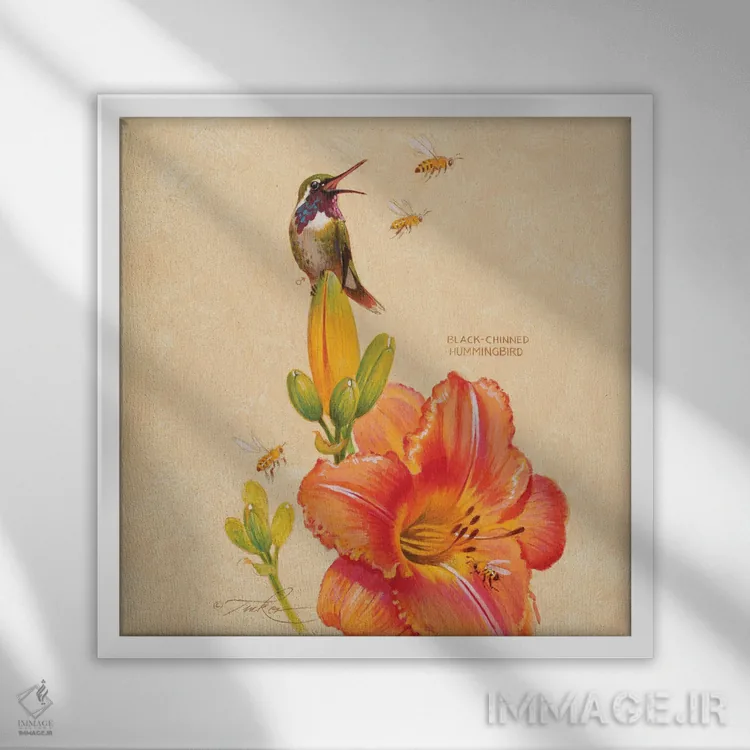 تابلو مرغ مگسخوار سیاهگلو، سوسن و زنبورهای عسل اثر ازرا تاکر - نمای قابدار سفید