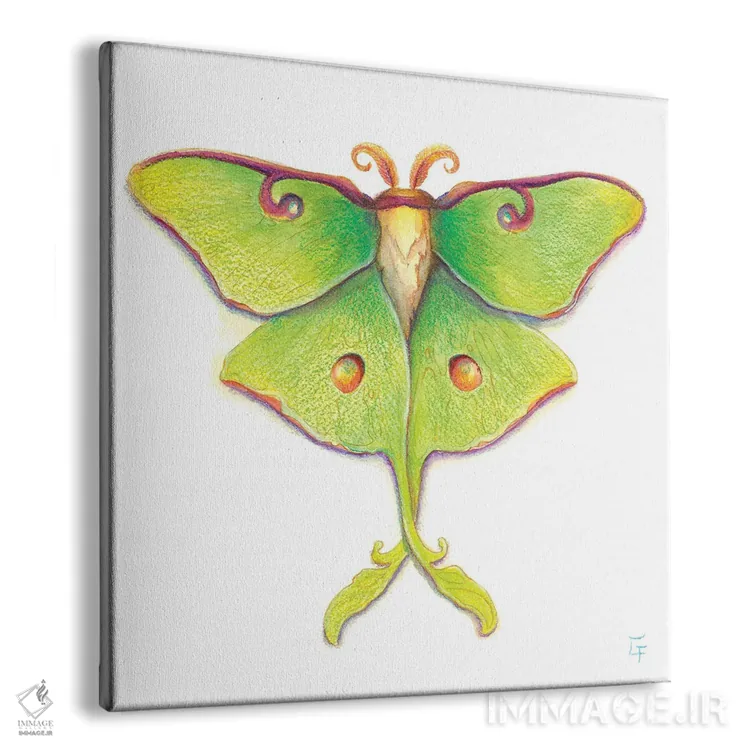 تابلو شبپرهٔ لونا اثر مایت فلای آرت اند ایلاستریشن (استودیو طراحی و تصویرگری) - نمای پرسپکتیو محصول