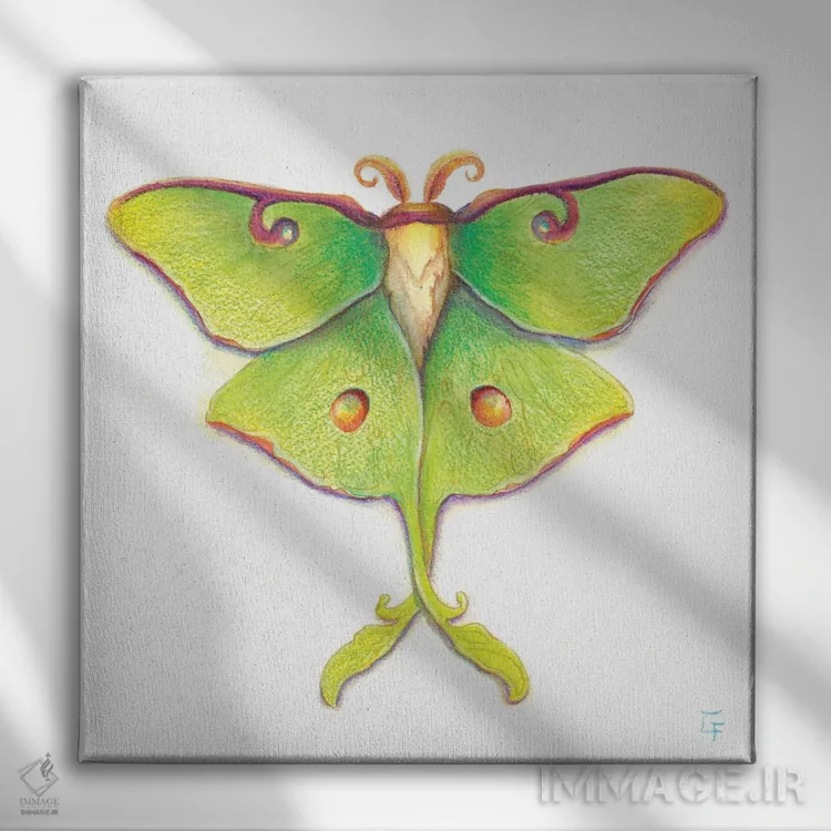 تابلو شبپرهٔ لونا اثر مایت فلای آرت اند ایلاستریشن (استودیو طراحی و تصویرگری) - نمای روبهرو روی دیوار