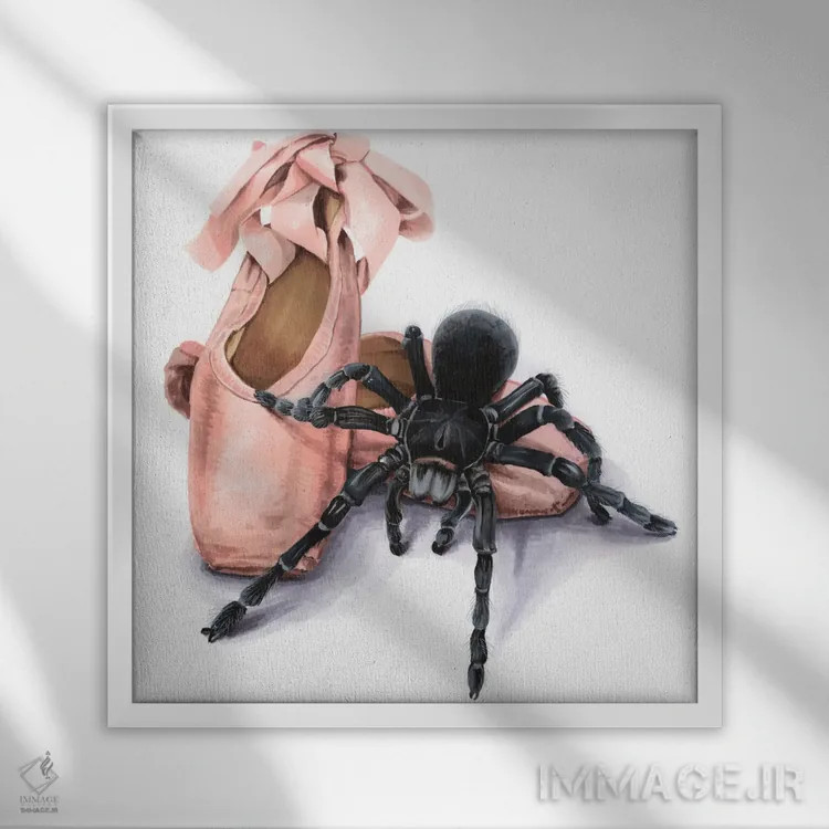 تابلو کفش بالرین و رتیل اثر الیزاوتا مولچانووا - نمای قابدار سفید