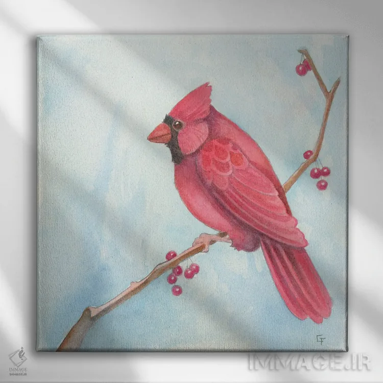 تابلو کارباورال (پرنده) اثر مایت فلای آرت اند ایلاستریشن (استودیو طراحی و تصویرگری) - نمای روبهرو روی دیوار